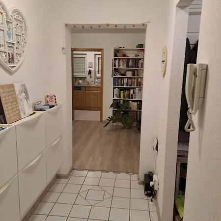 Schoene Helle Naehe Parkanlage Kenzingen