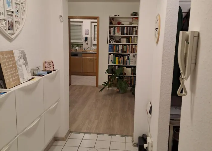 Schoene Helle Naehe Parkanlage Kenzingen