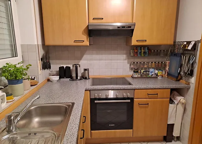 Schoene Helle Naehe Parkanlage Kenzingen